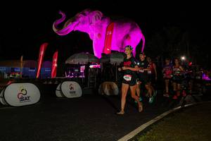 BIB: 
                            <button type="button" onclick="openModal(26535037)" class="btn btn-primary btn-sm float-right btn-popup" data-toggle="modal" data-target=".modal-high-quality">
                        <i class="fas fa-shopping-cart"></i> Add to Cart
                    </button>
                                            <button type="button" onclick="isThisMe(26535037, true)" class="btn btn-success btn-sm float-right btn-popup btn-isme hidden" data-toggle="tooltip" data-placement="bottom" title="นี่คือรูปของคุณใช่ไหม คลิกที่นี่เพื่อเอาเข้าอัลบั้ม">
                        <i class="fas fa-plus"></i> Add to album
                    </button>
                    <button type="button" onclick="isThisMe(26535037, false)" class="btn btn-warning btn-sm float-right btn-popup btn-isnotme hidden">
                        <i class="fas fa-ban"></i> Remove from album
                    </button>